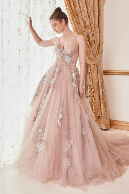 Prom Dresses Sleeveless Long A-Line Prom Dress Blush