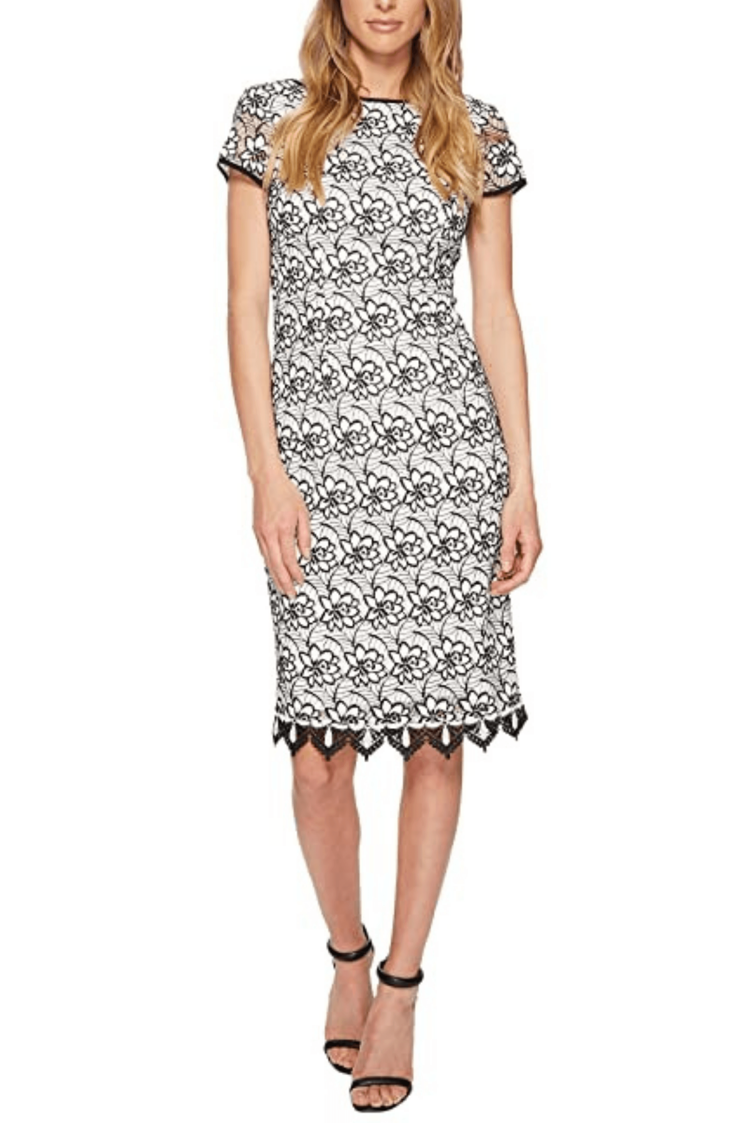 Adrianna Papell Short Cocktail Lace Dress AP1D101946 - The Dress Outlet