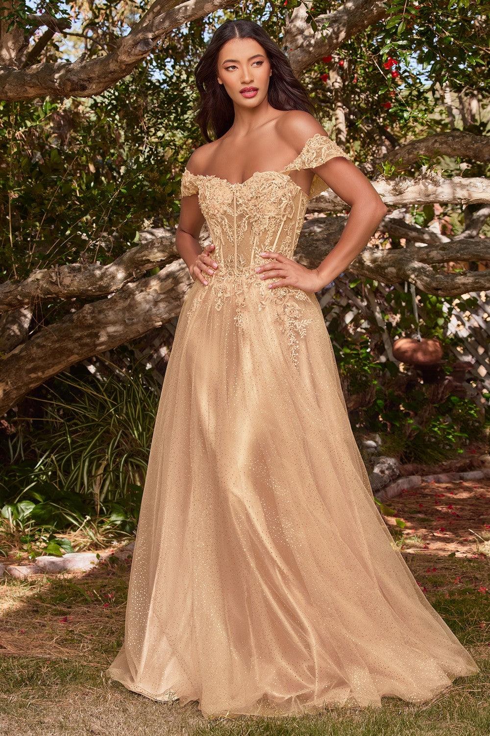 Off Shoulder Corset Long Prom Ball Gown Champagne