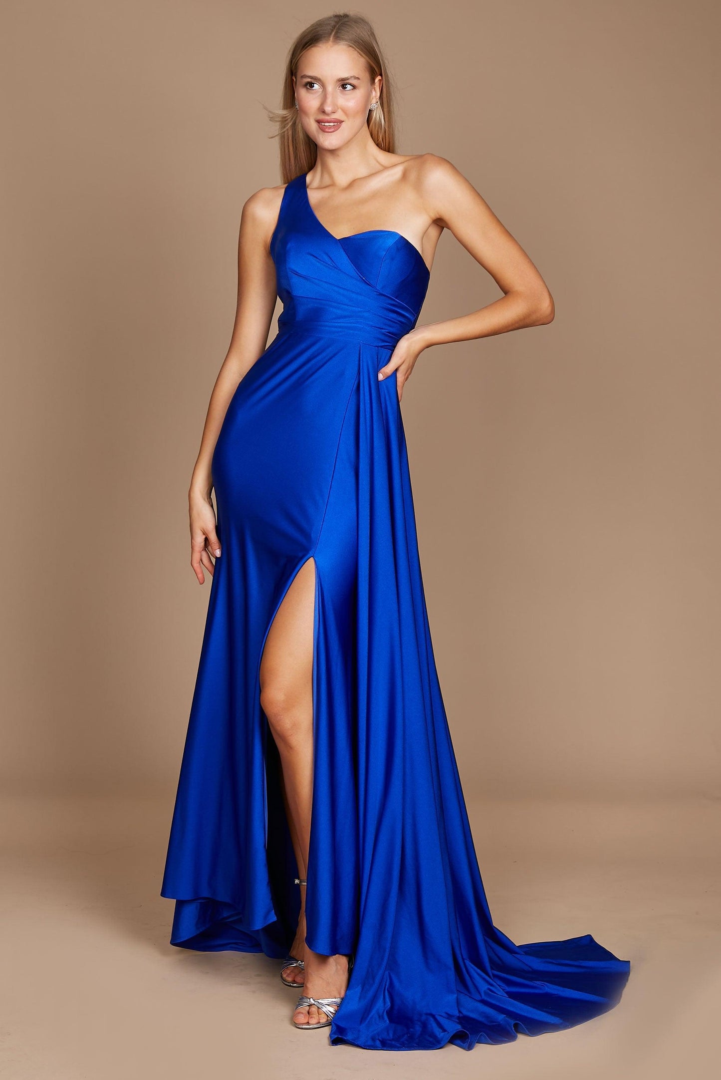 Prom Dresses One Shoulder Long Evening Gown Prom Dress Royal