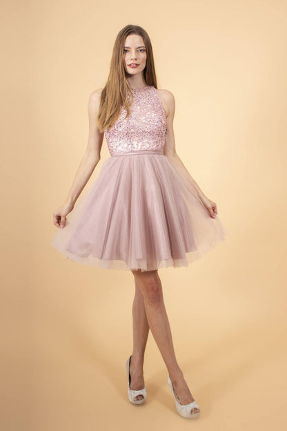 Embroidered Bodice Tulle Short Dress Sale - The Dress Outlet