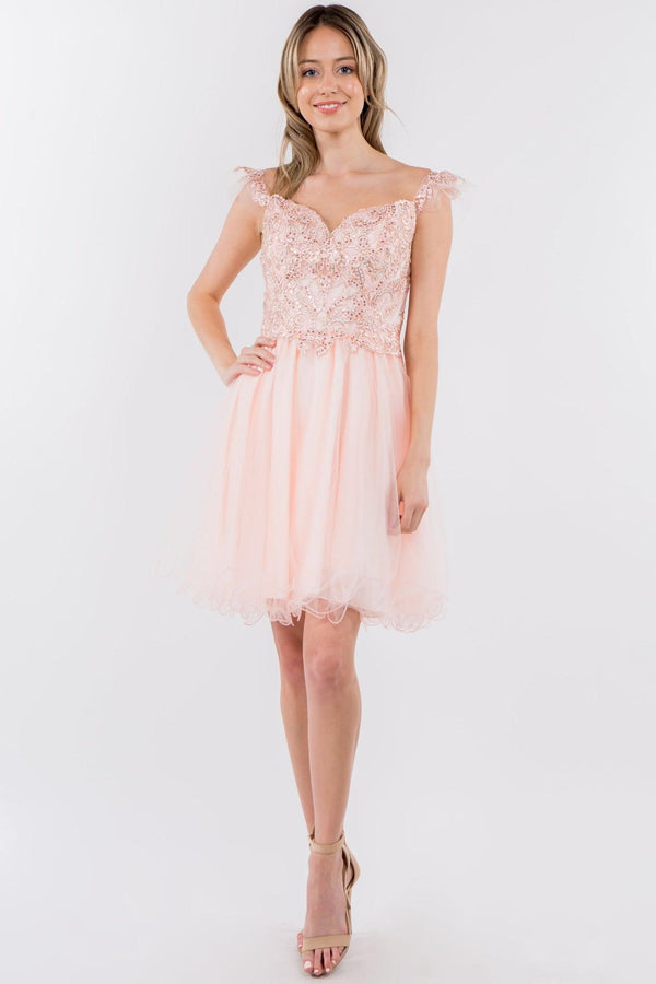 Embroidered Ruffle Short Homecoming Dress