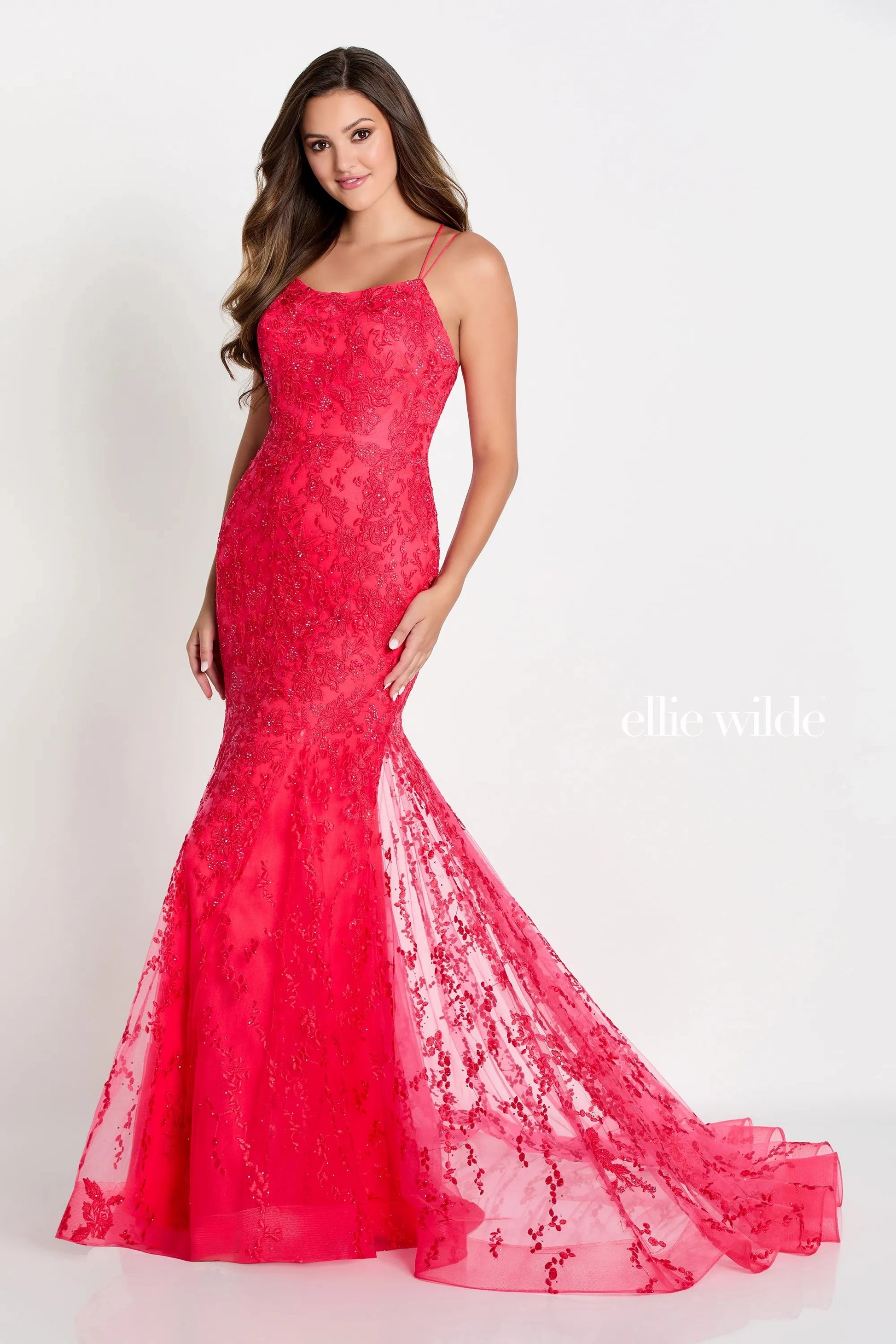 Ellie Wilde EW122032 Prom Formal Fitted Evening Long Gown