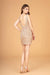 Homecoming Prom Short Cocktail Dress - The Dress Outlet