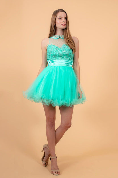 Homecoming Sleeveless Short Prom Dress - The Dress Outlet