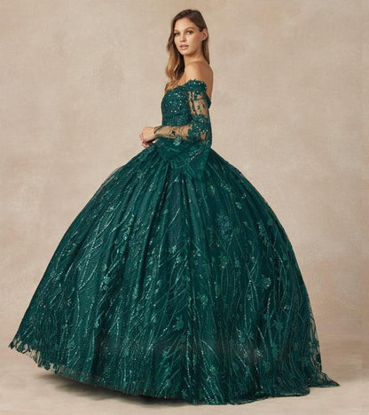 Long Ball Gown Quinceanera Dress - The Dress Outlet
