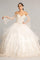Long Ball Gown Quinceanera Mesh Dress - The Dress Outlet