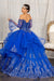 Long Ball Gown Quinceanera Mesh Dress - The Dress Outlet
