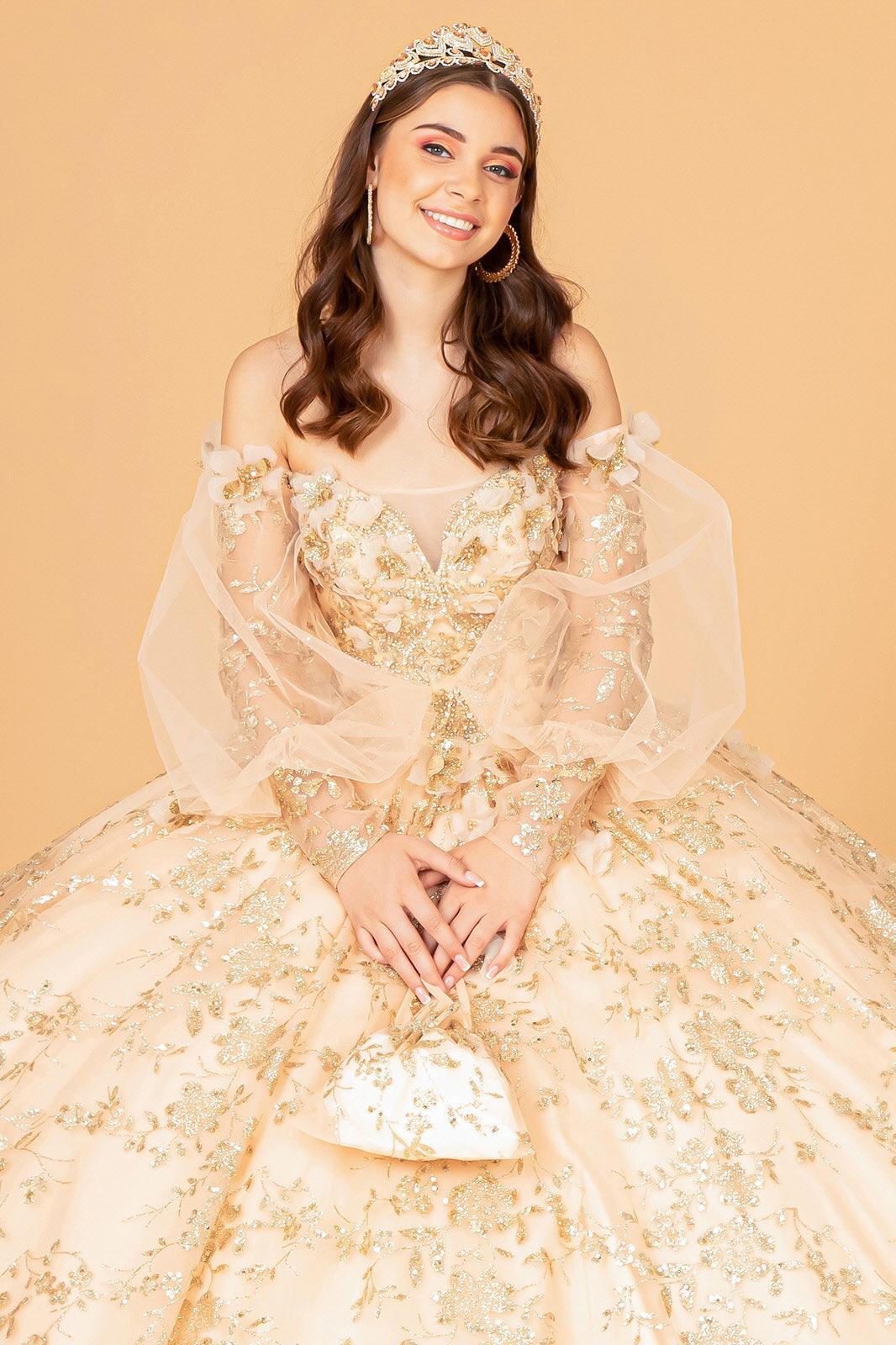 Long Quinceanera Dress Ball Gown