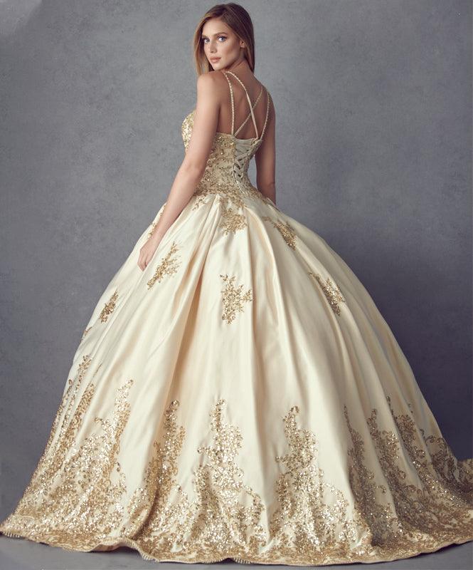 Long Quinceanera Dress Sweet 16 Ball Gown