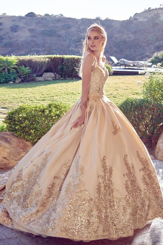 Long Quinceanera Dress Sweet 16 Ball Gown