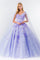 Quinceanera Sweet 16 Long Mesh Gown - The Dress Outlet