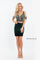 Rachel Allan Sexy Two Piece Homecoming Dress - The Dress Outlet