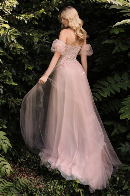 Sexy Strapless A Line Long Prom Gown - The Dress Outlet