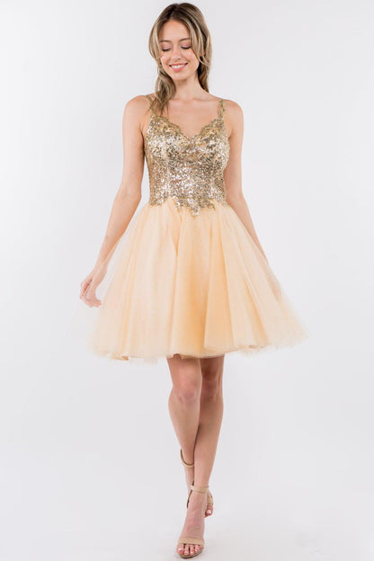 Sheer Bodice Short Homecoming Dress - The Dress Outlet