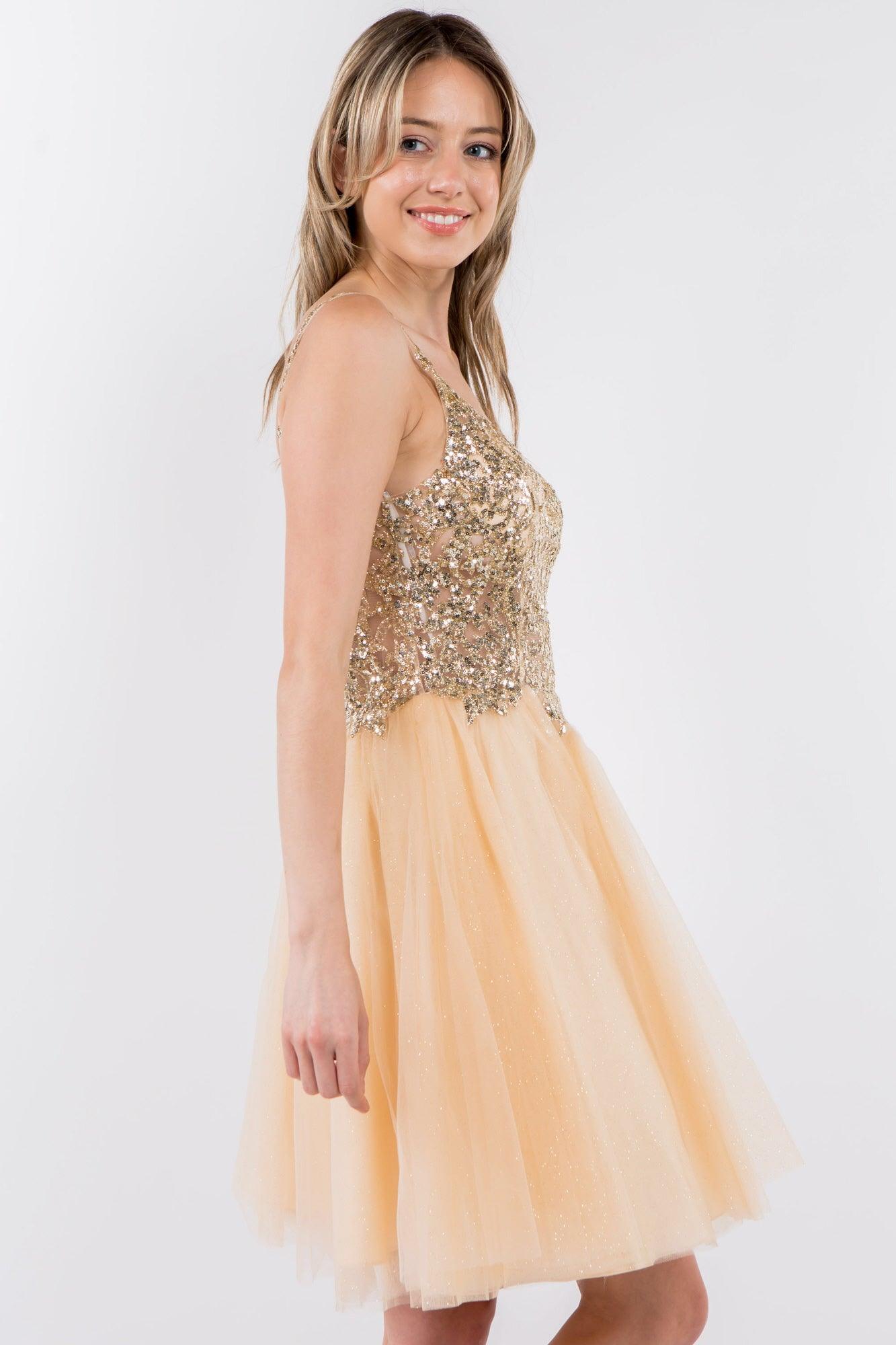 Sheer Bodice Short Homecoming Dress - The Dress Outlet