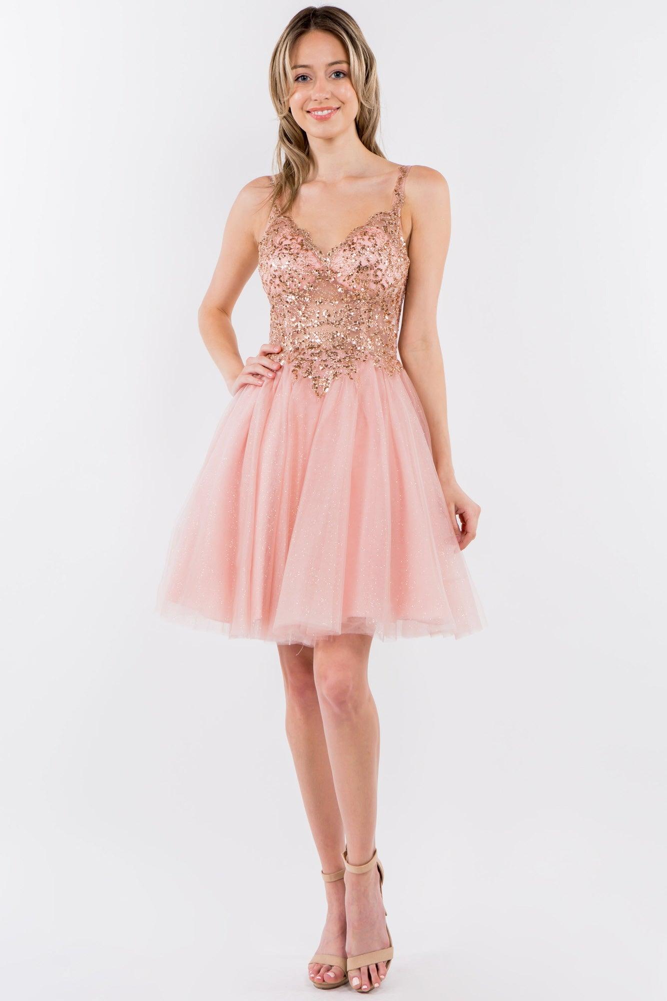 Sheer Bodice Short Homecoming Dress - The Dress Outlet