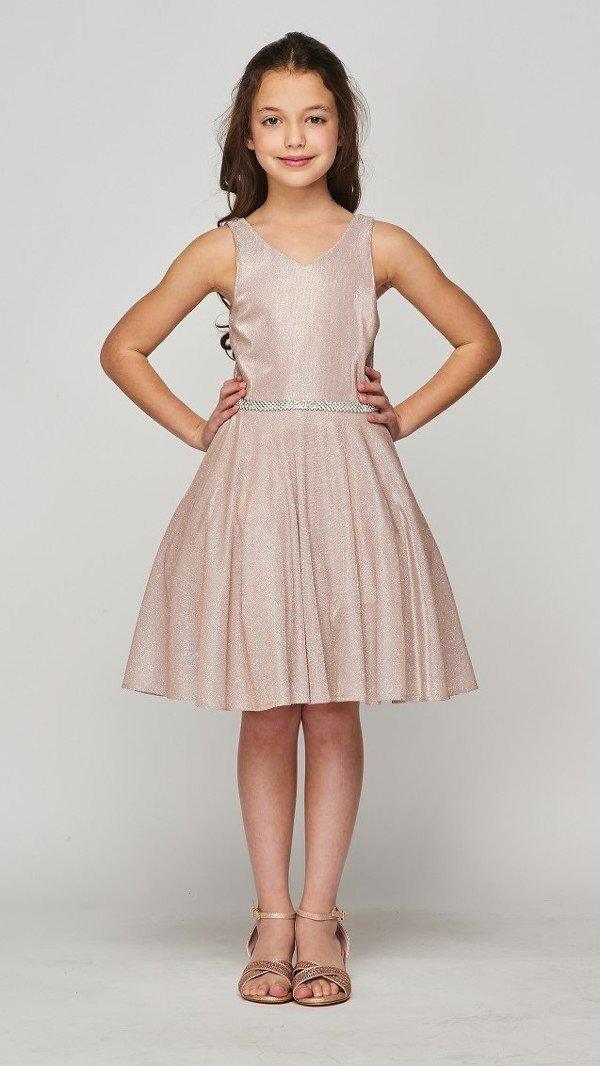 Silver Glitter Metallic V Neck Pocket Junior Bridesmaid Dress Big Girls - 14 Silver Glitter Metallic V Neck Pocket Junior Bridesmaid Dress Big Girls - 14