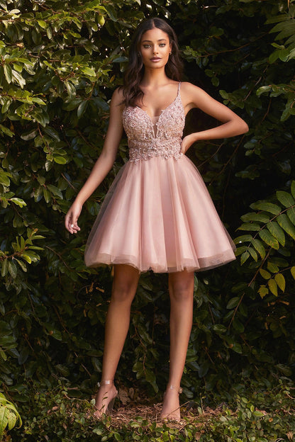Short Prom Dress Homecoming Blush