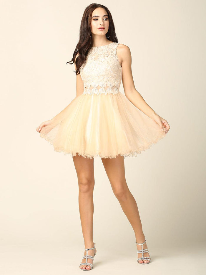 Short Prom Sleeveless Lace Cocktail Party Dress - The Dress Outlet