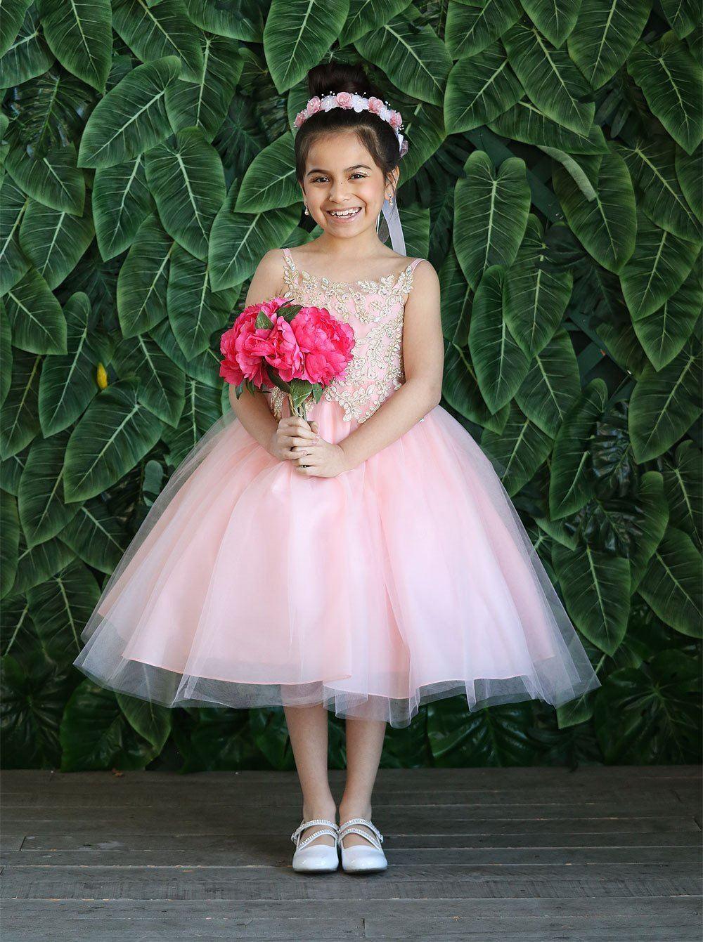 Sleeveless Beaded Lace Appliques Flower Girl Dress - Blush/Gold / 2 Sleeveless Beaded Lace Appliques Flower Girl Dress - Blush/Gold / 2