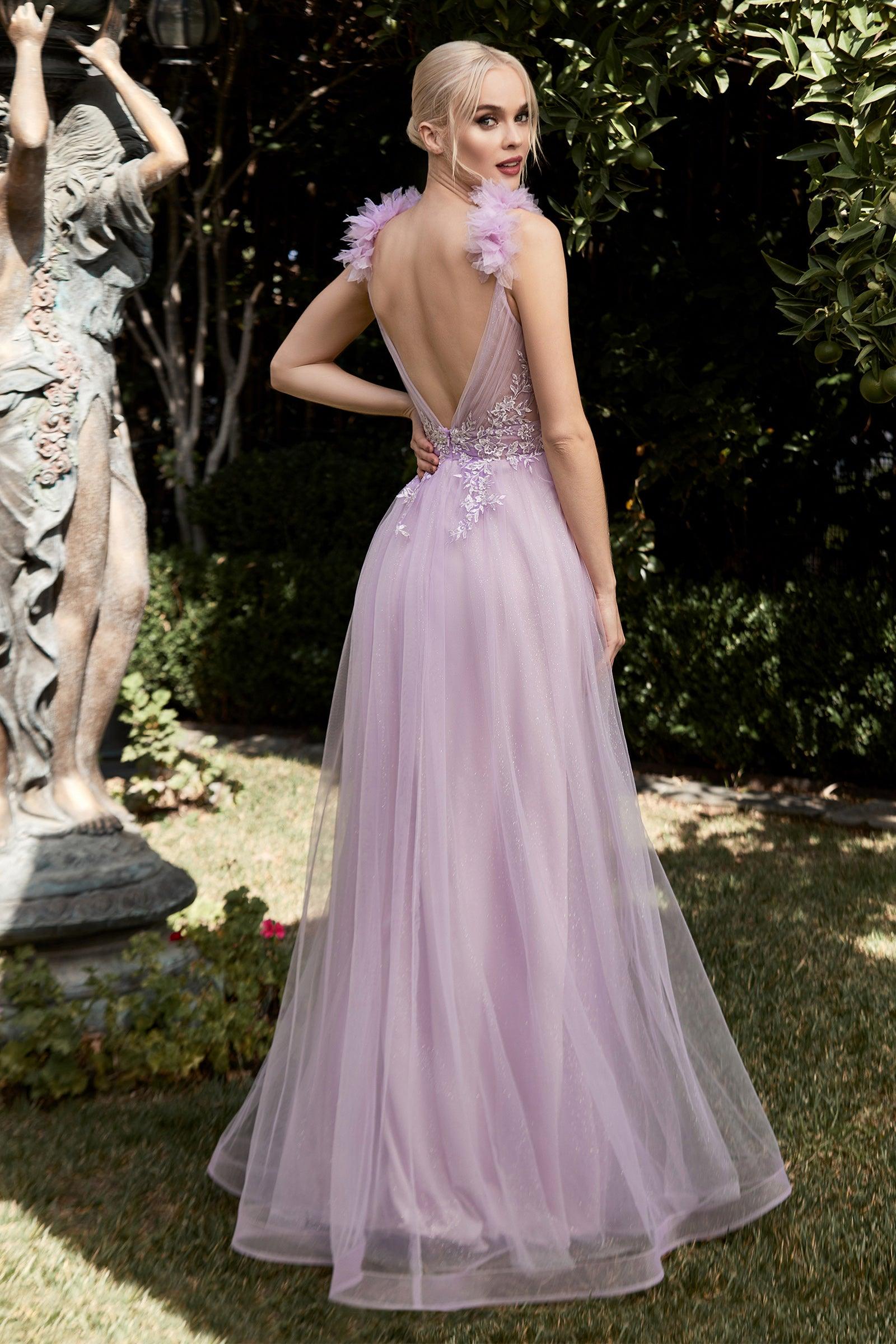 Sleeveless Long A Line Prom Dress - The Dress Outlet