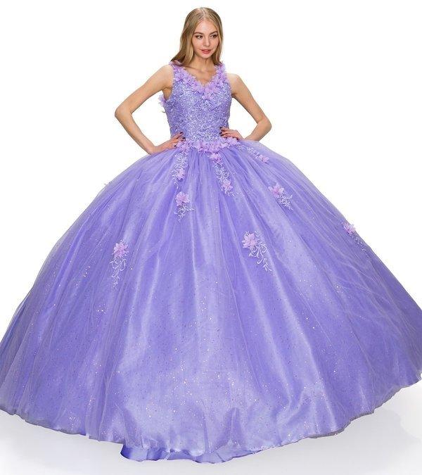Sleeveless Long Quinceanera Dress
