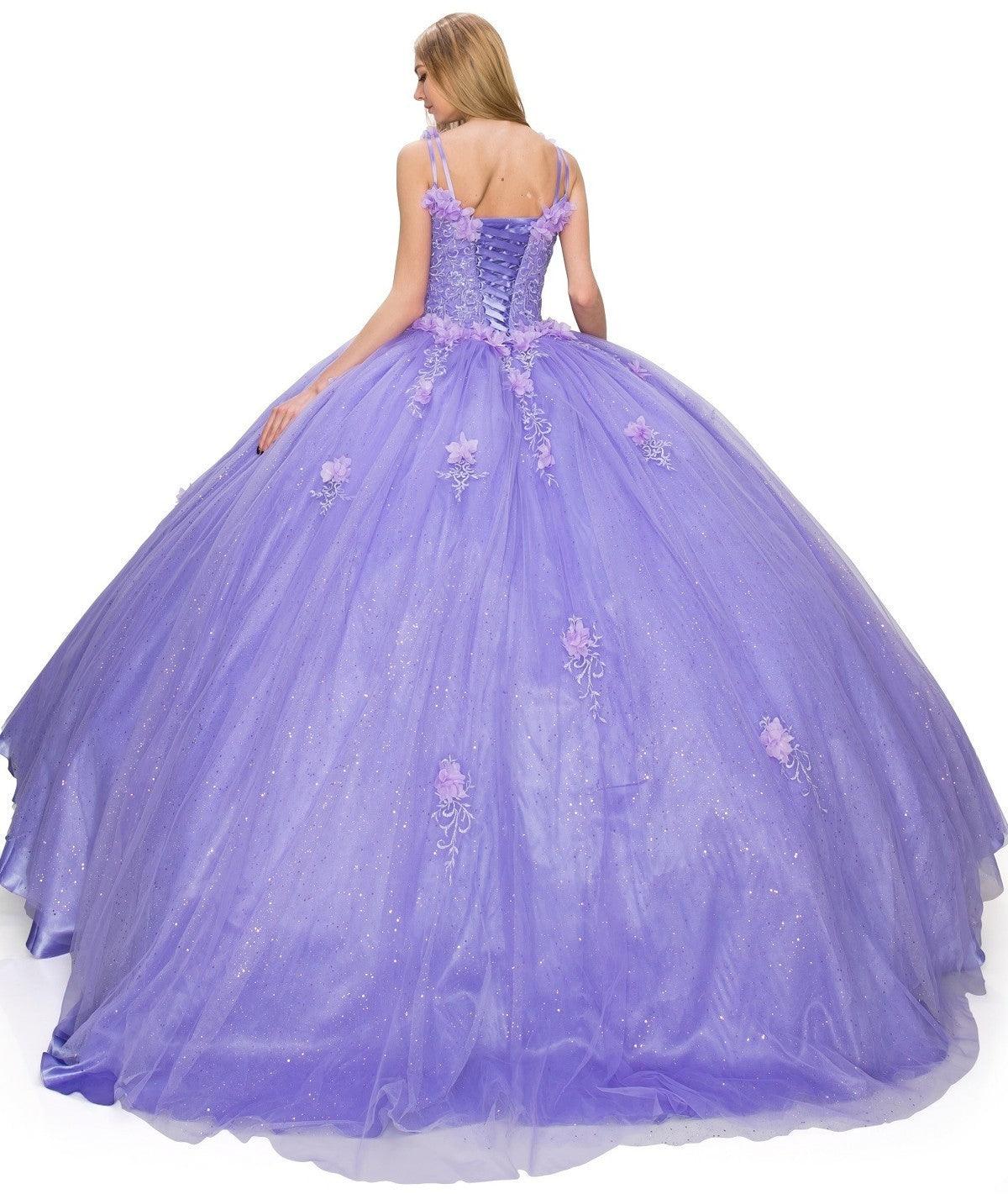 Sleeveless Long Quinceanera Dress