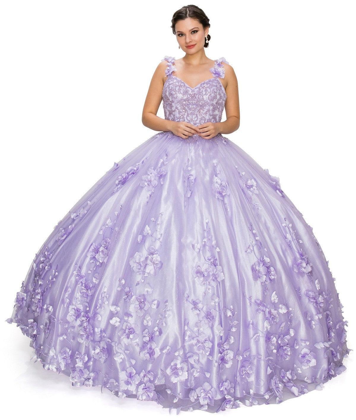 Sleeveless Long Quinceanera Dress